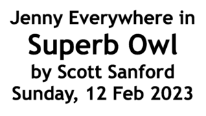 Superb Owl - Title.png