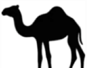 Drove of the Database-Compiling Dromedaries.png