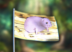 Muskrat Flag.png